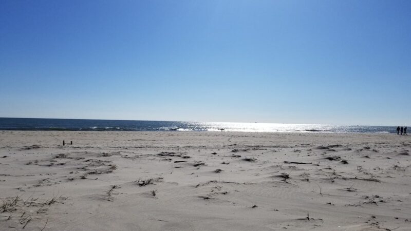 Cupsogue Beach County Park - Westhampton Beach, NY
