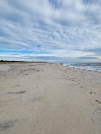 Cupsogue Beach County Park - Westhampton Beach, NY