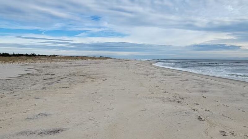 Cupsogue Beach County Park - Westhampton Beach, NY