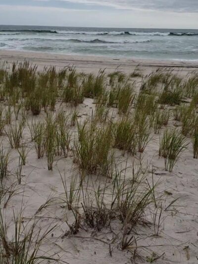 Pike's Beach - Westhampton Beach, NY