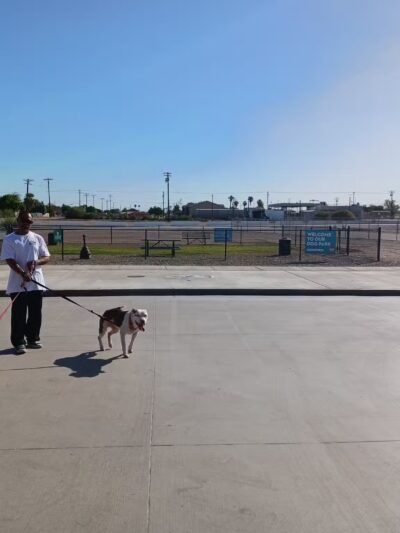 Dog Park at Love's Travel Stops - Westmorland, CA