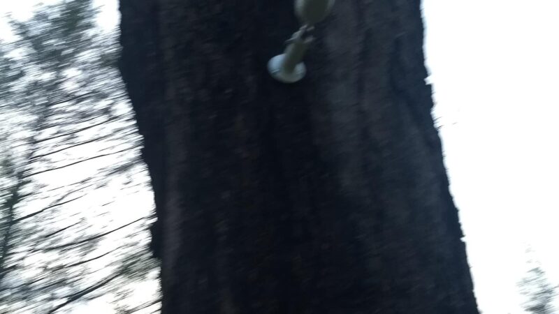 Freeborn Trail, Aspectuck Land Trust - Weston, CT