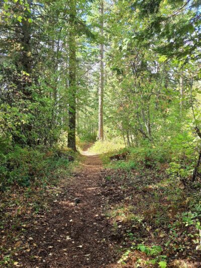 Zig Zag Springs Trailhead - Weston, OR