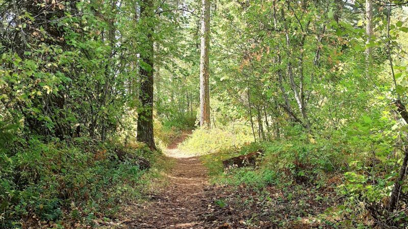 Zig Zag Springs Trailhead - Weston, OR