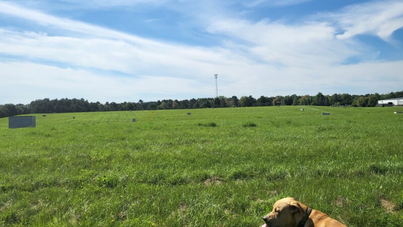 Weston Dog Park - Weston, WI