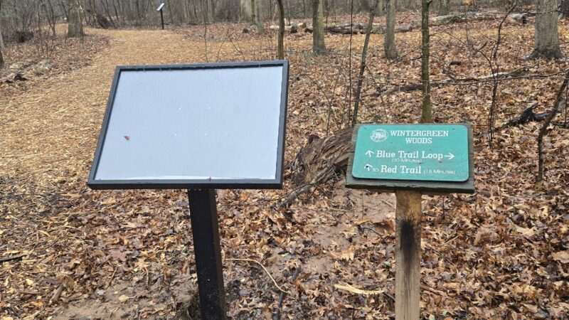 Wintergreen Woods - Wethersfield, CT