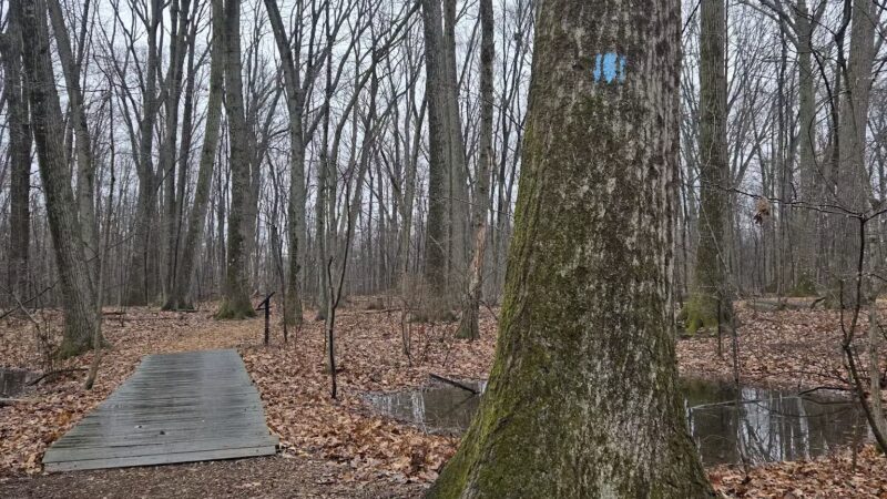 Wintergreen Woods - Wethersfield, CT