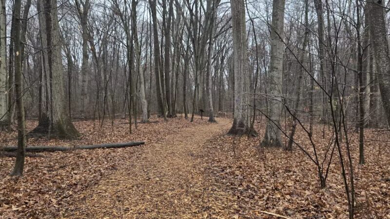 Wintergreen Woods - Wethersfield, CT