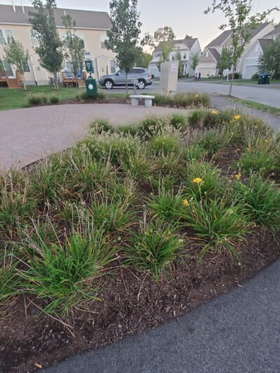 Little Chestnut Park - Weymouth, MA