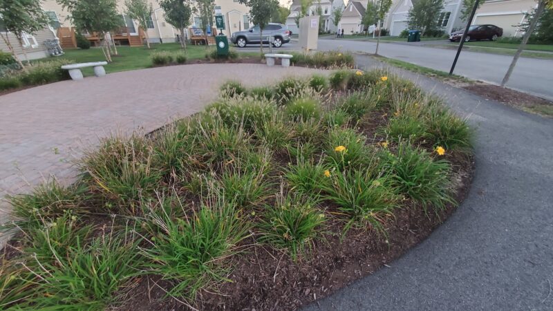 Little Chestnut Park - Weymouth, MA