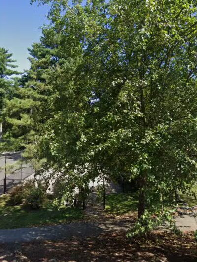 Queen Anne's Gate dog park - Weymouth, MA