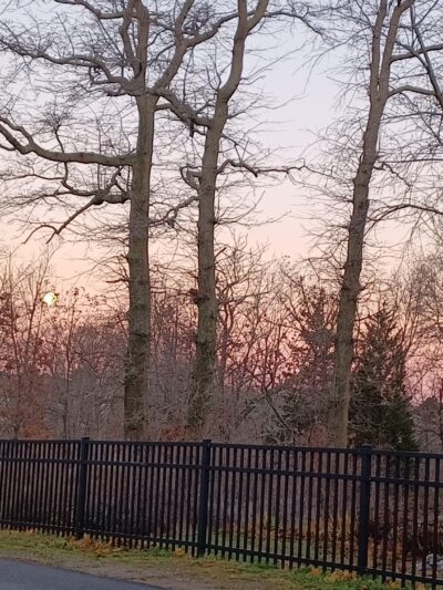 Webb Park - Weymouth, MA