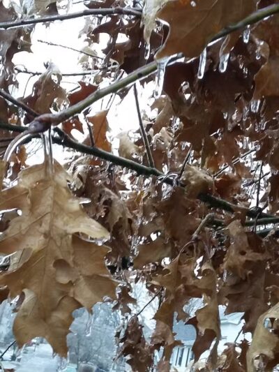 Webb Park - Weymouth, MA