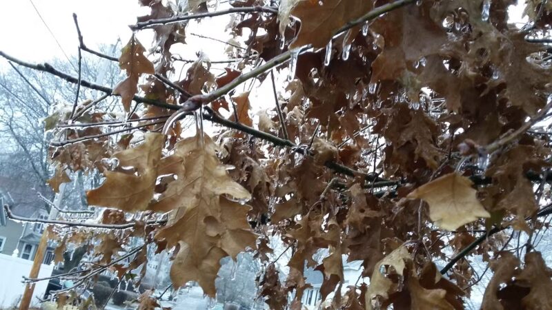 Webb Park - Weymouth, MA