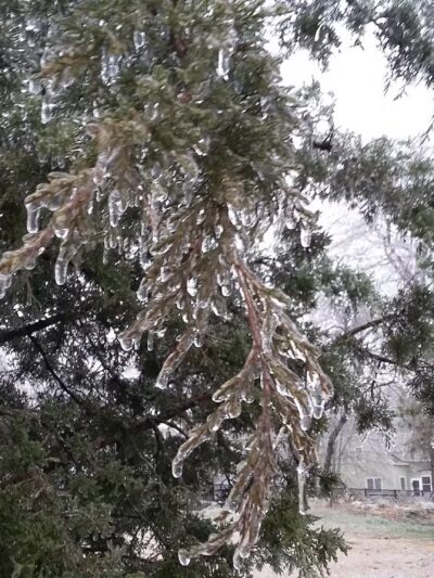 Webb Park - Weymouth, MA