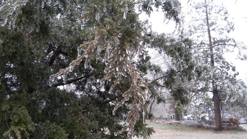 Webb Park - Weymouth, MA