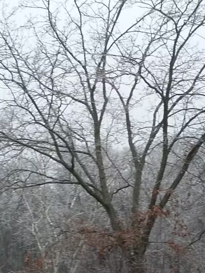 Webb Park - Weymouth, MA