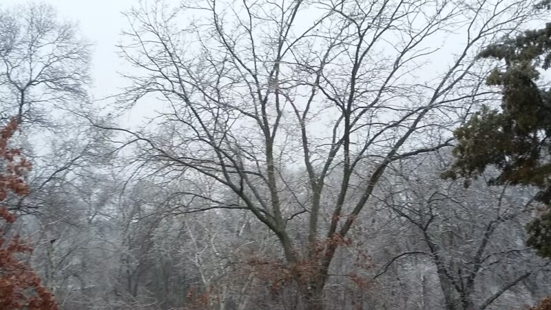 Webb Park - Weymouth, MA