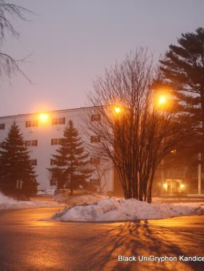Webster Street Park - Weymouth, MA