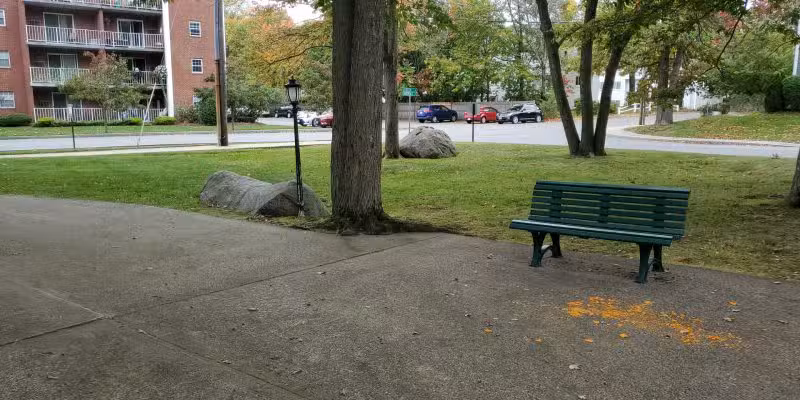 Webster Street Park - Weymouth, MA
