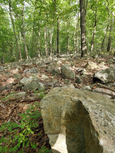 Mount Hope Historical Park - Wharton, NJ