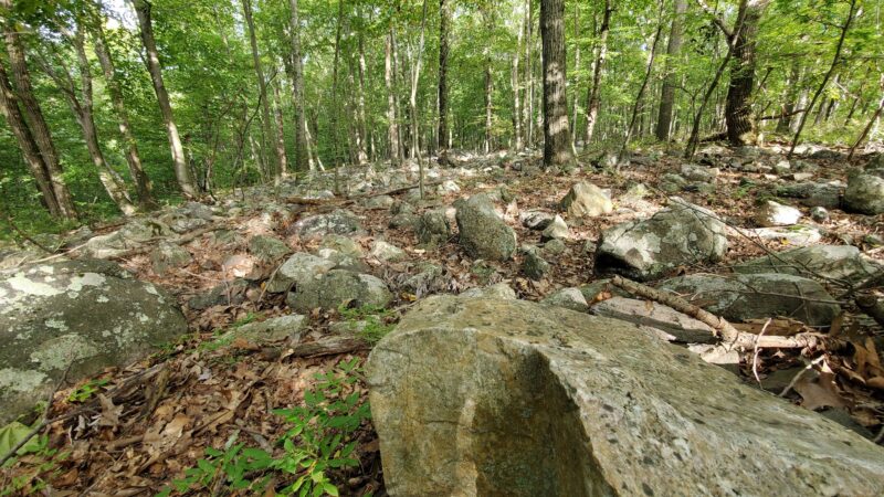Mount Hope Historical Park - Wharton, NJ