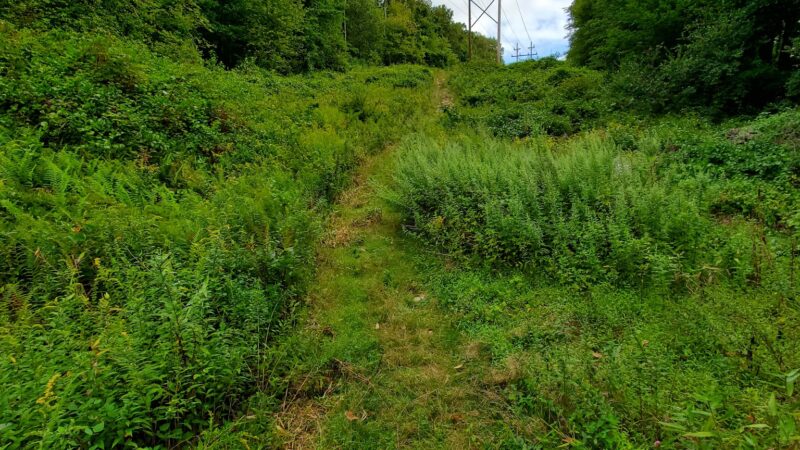 Mount Hope Historical Park - Wharton, NJ