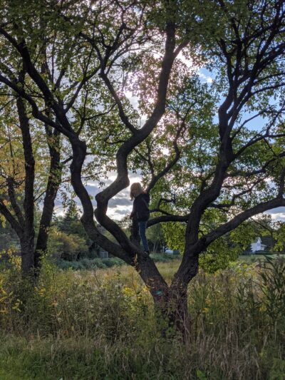 Husky Park - Wheeling, IL