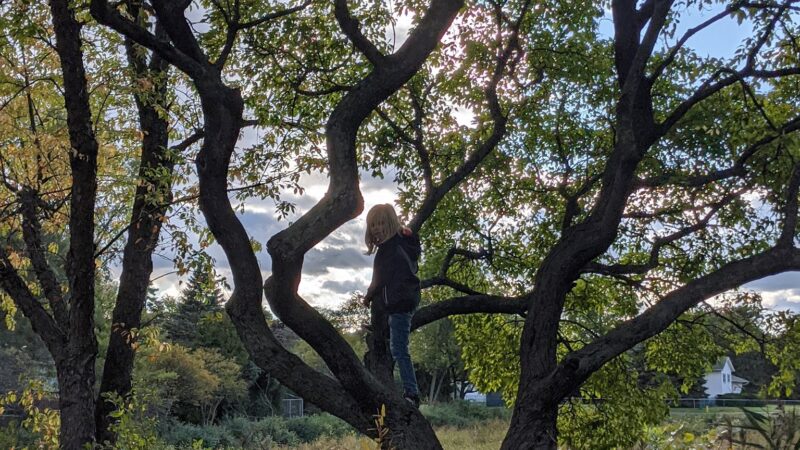 Husky Park - Wheeling, IL