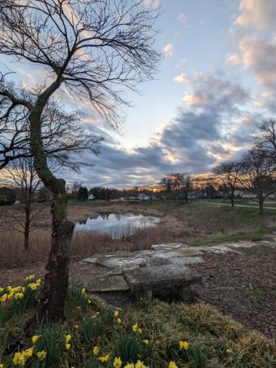 Husky Park - Wheeling, IL