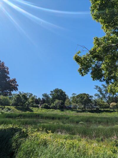 Husky Park - Wheeling, IL