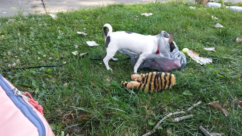 Bridge Park - Wheeling, WV