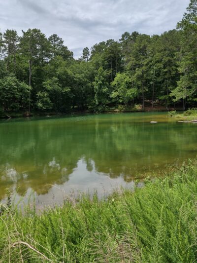 Stamp Creek Day Use Area - White, GA