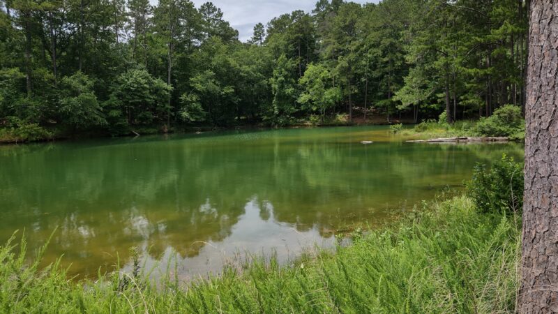 Stamp Creek Day Use Area - White, GA