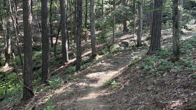 Wilderness Camp Trail System - White, GA