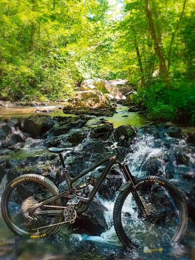 Wilderness Camp Trail System - White, GA