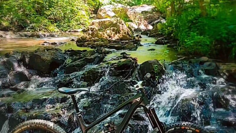 Wilderness Camp Trail System - White, GA