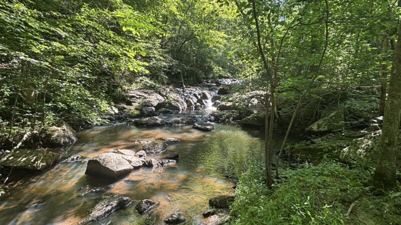 Wilderness Camp Trail System - White, GA