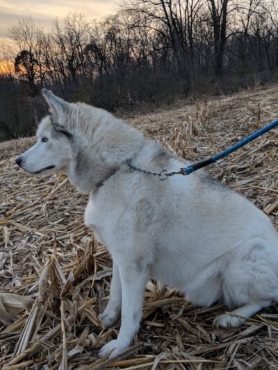 Egypt Memorial Park - Whitehall Township, PA