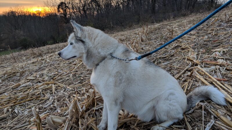 Egypt Memorial Park - Whitehall Township, PA