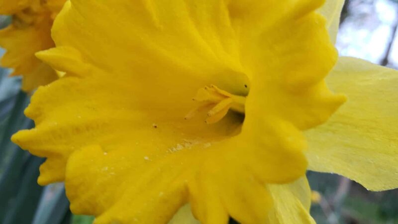 Ironton Trail - Whitehall Township, PA