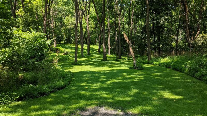 Jordan Creek Disc Golf Course - Whitehall Township, PA