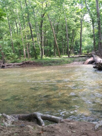 Jordan Creek Disc Golf Course - Whitehall Township, PA