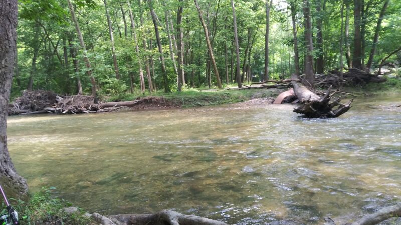 Jordan Creek Disc Golf Course - Whitehall Township, PA