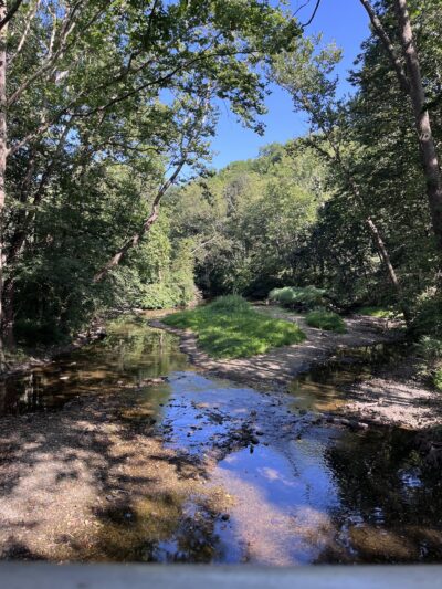 Jordan Creek Mtb Trails - Whitehall Township, PA