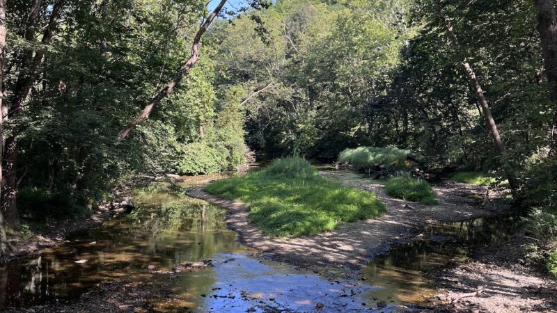Jordan Creek Mtb Trails - Whitehall Township, PA