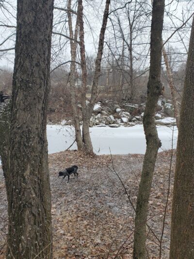 Jordan Creek Parkway - Whitehall Township, PA