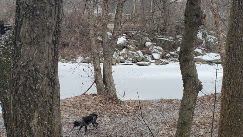 Jordan Creek Parkway - Whitehall Township, PA