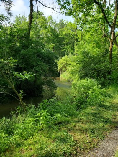 Whitehall Parkway - Whitehall Township, PA