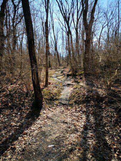 Whitehall Parkway - Whitehall Township, PA